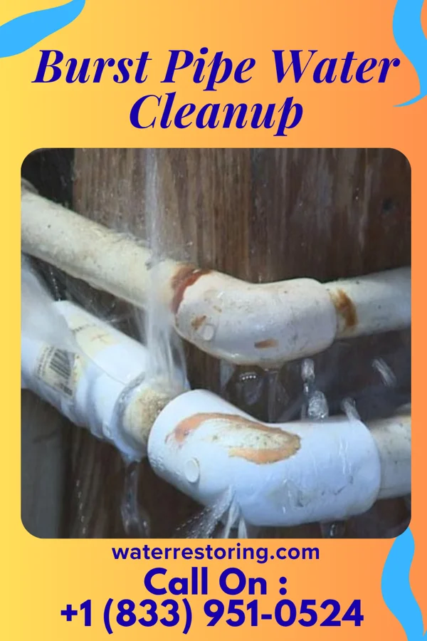 Burst Pipe Water Cleanup in Midvale, OH