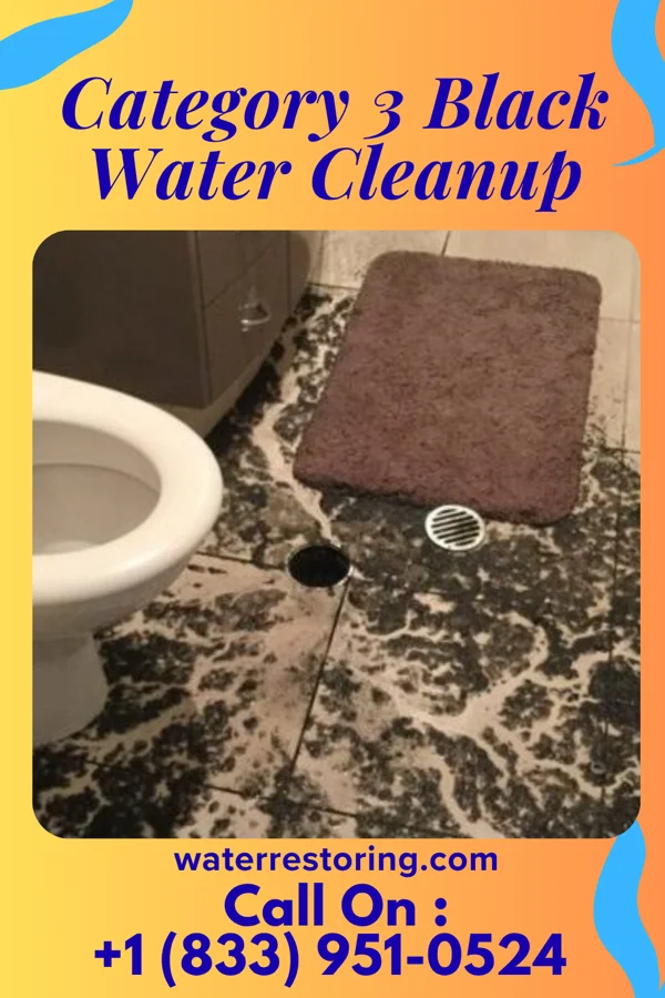 Category 3 Black Water Cleanup in Midvale, OH